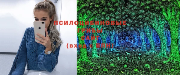spice Богданович