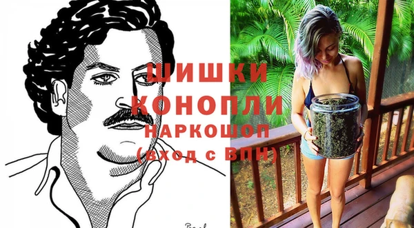 тгк Новокубанск