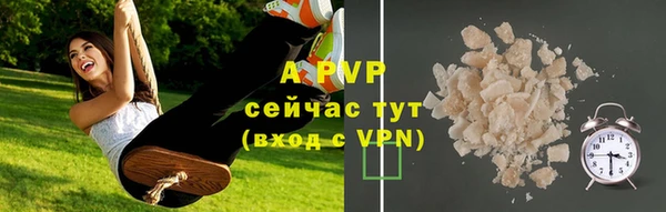 индика Богородицк