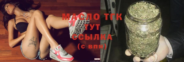 индика Богородицк