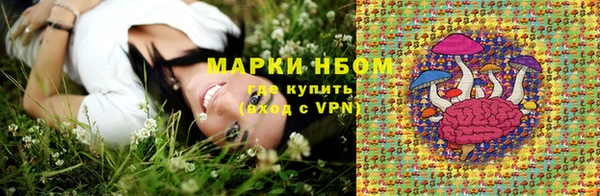 jwh Новозыбков
