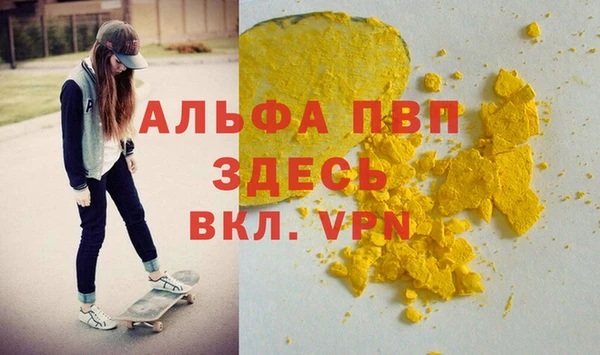 spice Богданович