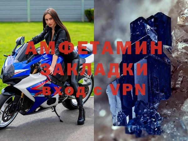 spice Богданович