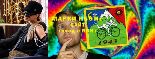 индика Богородицк
