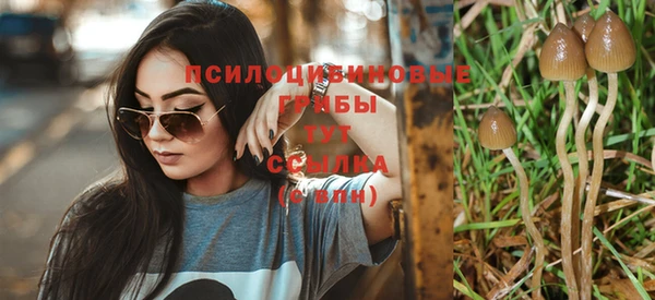spice Богданович