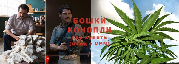 spice Богданович