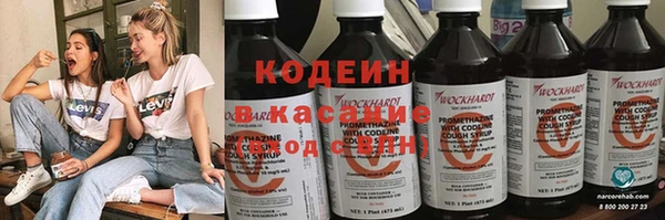 индика Богородицк