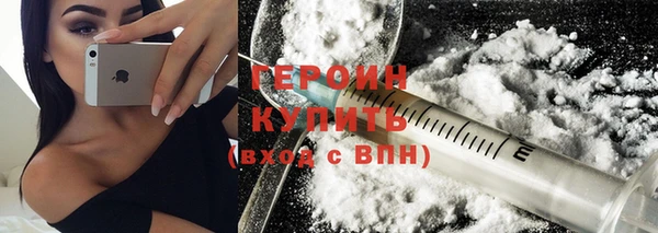 индика Богородицк