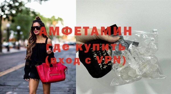 индика Богородицк