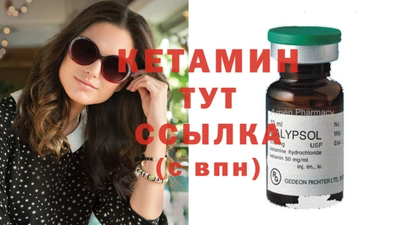 индика Богородицк