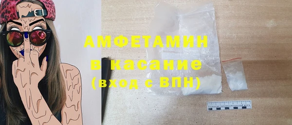 индика Богородицк